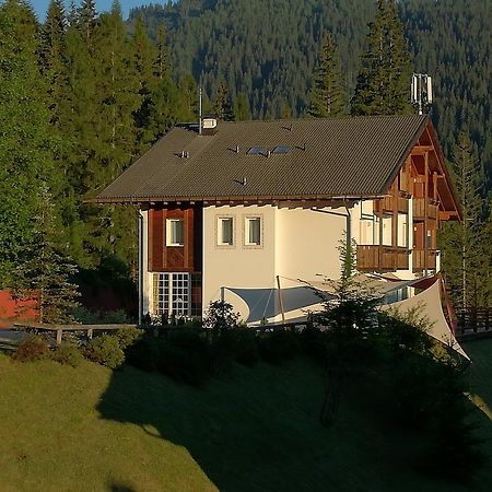 Hotel Ca' Del Bosco Selva di Cadore Buitenkant foto