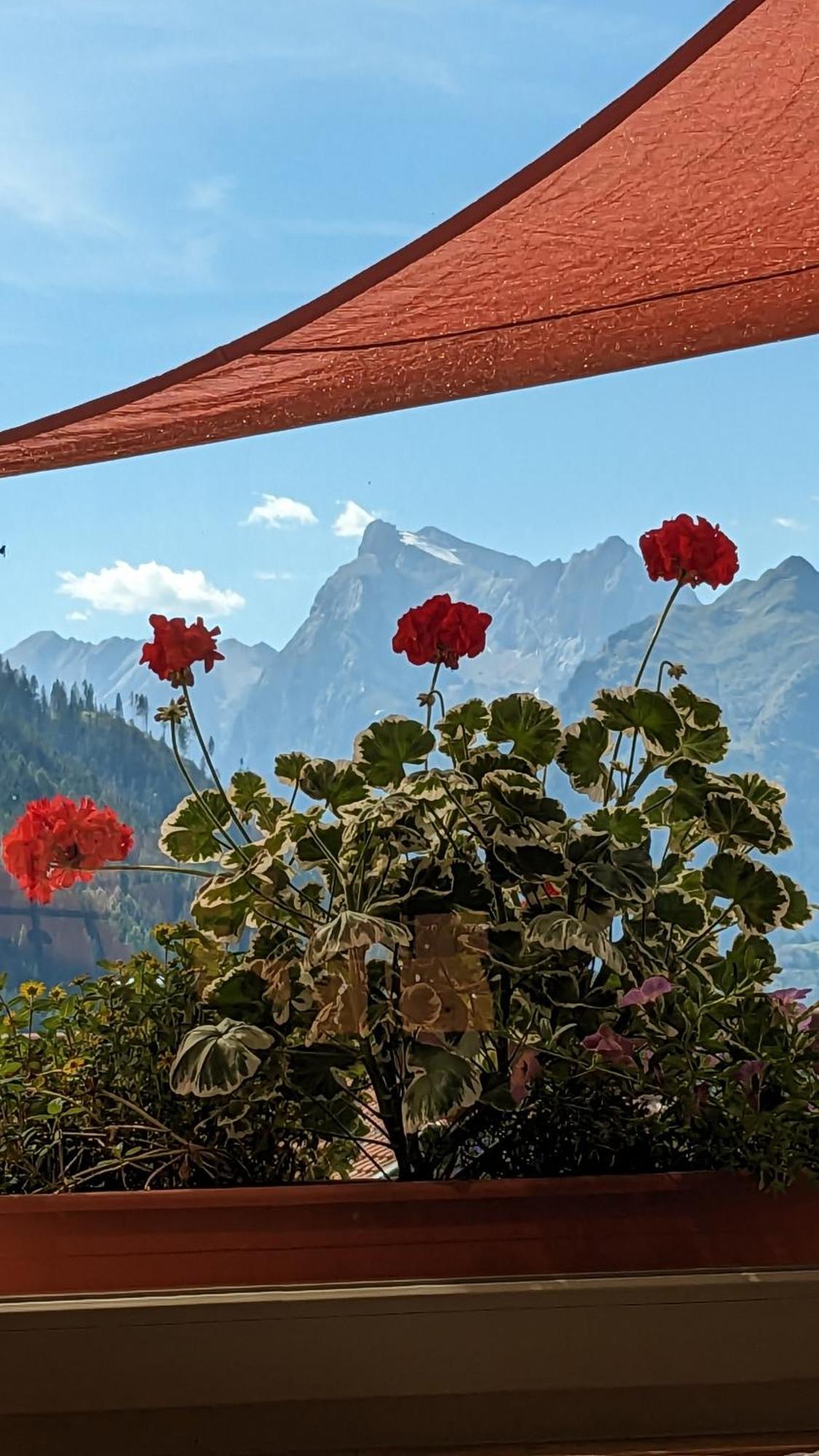 Hotel Ca' Del Bosco Selva di Cadore Buitenkant foto