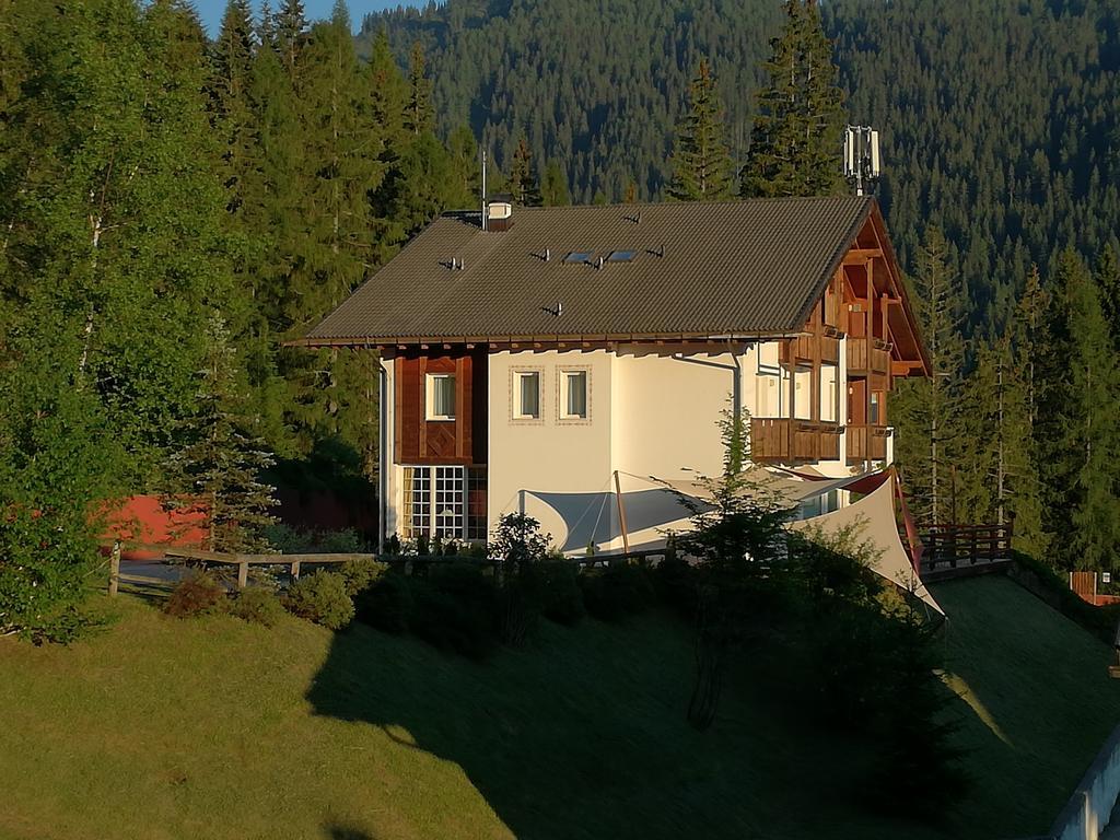 Hotel Ca' Del Bosco Selva di Cadore Buitenkant foto
