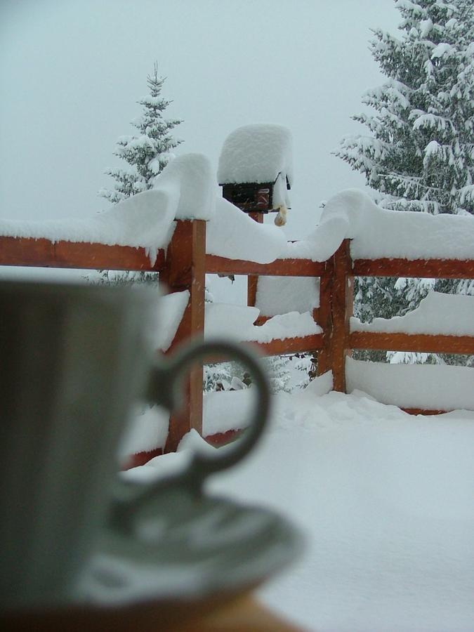 Hotel Ca' Del Bosco Selva di Cadore Buitenkant foto