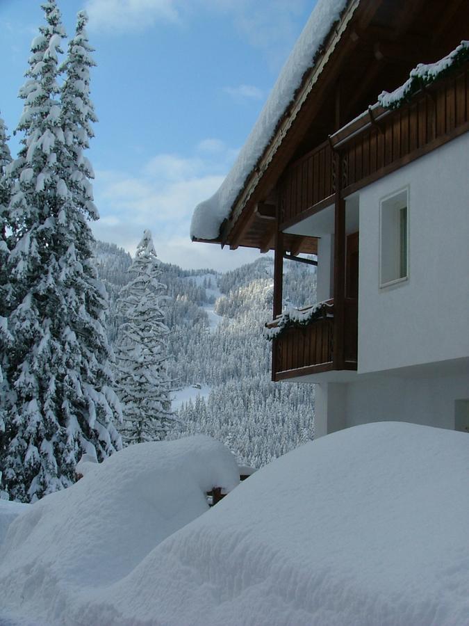 Hotel Ca' Del Bosco Selva di Cadore Buitenkant foto