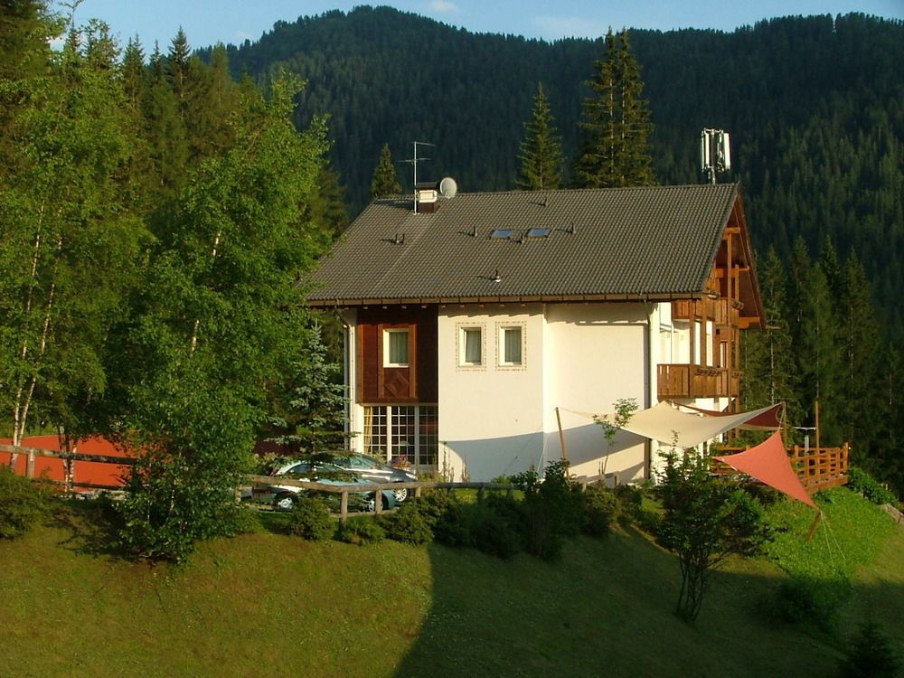 Hotel Ca' Del Bosco Selva di Cadore Buitenkant foto